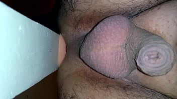 No De Cachorro Fundo No Cuzinho