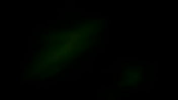 Ela Delicia De Tanguinha