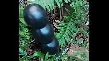 Temporada De Setas Alucinógenas