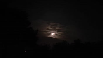 Sheer Panty Twofer Night And Day Cumshot Creampie