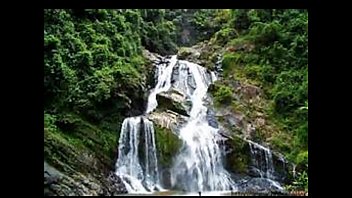 Cum, Cocks, Gay, Trans - Gay - 2025 - Passionate - Session - Video 6257427