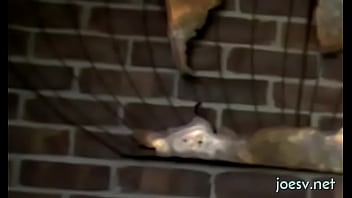 Dilettante View Of Anal Homosexual Porn