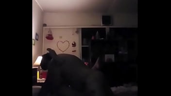 Cock, Couple - Unknown - 2025 - Intense - Experience - Video 1848452