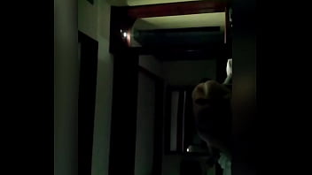 Plaza, Saltillo - Unknown - 2025 - Amazing - Experience - Video 1832663