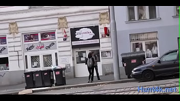 Classy Brunette Hottie Gets Her Twat Torn Apart