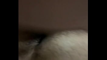 Travesti Leitando Urso