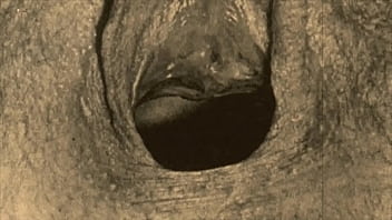 Dark Lantern Entertainment Presents _vintage Closeups_ From My Secret Life, The Erotic Confessions Of A Victorian English Gentleman - cumshot, cum, hairy, blowjobs, retro, vintage, hairy-pussy, hairy-pussy-fuck, retro-fucking, retro-b - Video 1650001