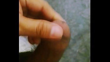 Morelos, Cuernavaca - Unknown - 2025 - Wild - Scene - Video 1815951