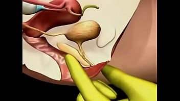 Vagina, Point, Salope, Orgasme, G, Vagin, Tutoriel - Unknown - 2025 - Sexy - Experience - Video 6411849