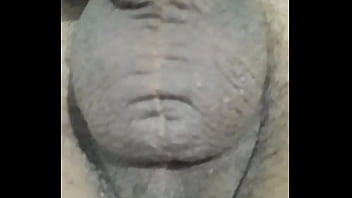 Arxidia Etoima Na Skasoun