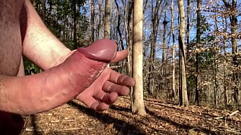 Sunny Winter Day With A Hair Cut