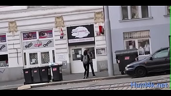 Sensual Young Brunette Gal Fucked Properly