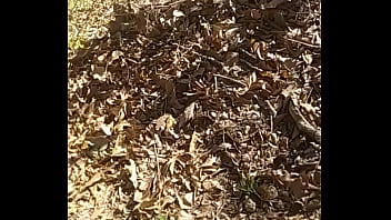 Description, For-her - Unknown - 2025 - Incredible - Experience - Video 1798241