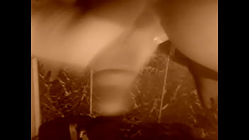 Stroking The D To Videos On Here