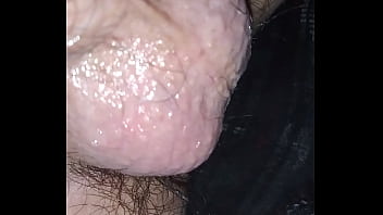 Paja, Clasica - Unknown - 2025 - Incredible - Show - Video 1794484