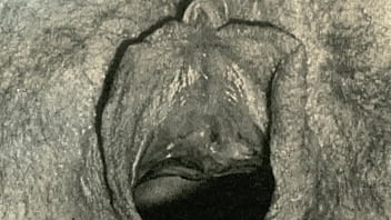 Dark Lantern Entertainment Presents _vintage Closeups_ From My Secret Life, The Erotic Confessions Of A Victorian English Gentleman - cum, closeup, hairy, retro, vintage, vintage-blowjobs, hairy-pussy-fucking, retro-fucking, vintage-h - Video 1783044