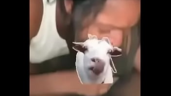 Ftos.lay Ig Sucking On Bbc
