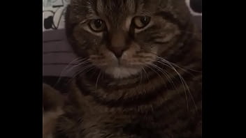 Follada Legendaria A Su Hijo