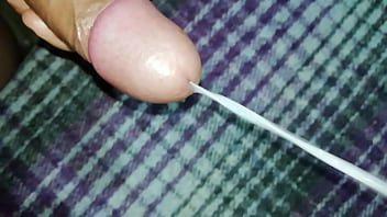 Cumshot, Cum, Cock, Masturbation, Semen - Cumshot - 2025 - Wild - Experience - Video 1574942