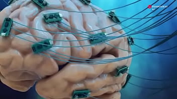 Verification Video - verification-video - Video 1573833