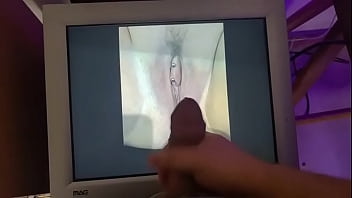 Tribute Cum Graceful2327