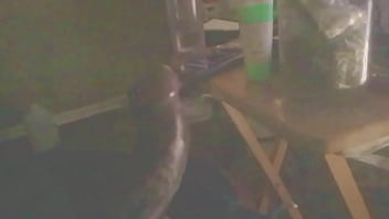 Slow Motion Dick Shaking