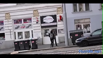 Prodigious Brunette Diva Poon Tang Plowing Session