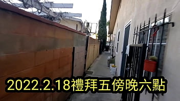 Happy, Life - Unknown - 2025 - Wild - Experience - Video 1734200