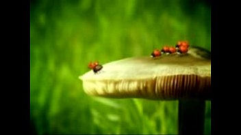 Unknown - 2025 - Incredible - Session - Video 6411536