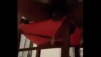 Lesbian, Black, Sucking, Amateur, Wet, Teenie, Masturbation, Big-dick, Black-cock, Black-teen, Niger - Lesbian - 2025 - Passionate - Show - Video 1744212