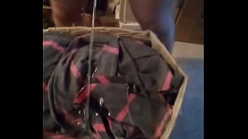 Pee In Laundry Basket