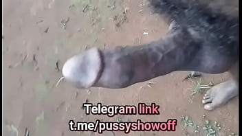 Watch My Penis Urinating Public