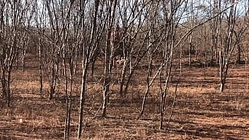 Video Completo Por Red O En Plataformas S De Pago