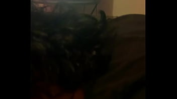 Verification Video - verification-video - Video 1694987