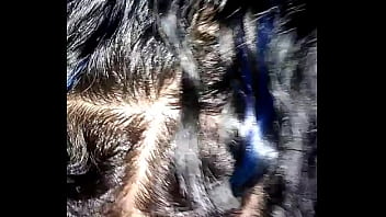 Latina Giving Sloppy Head - latina, blowjob, florida, 239, natural-tits, swfl - Video 1689247