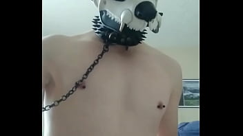 Verification Video - verification-video - Video 1764312