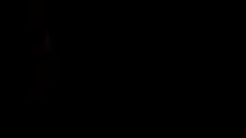 Unknown - 2025 - Wild - Experience - Video 6247526