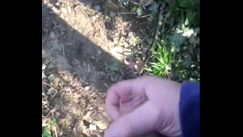 Branlette Dans La Nature