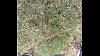 Light Showers This Morning