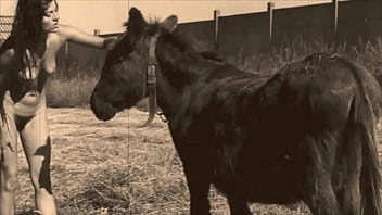 Dark Lantern Entertainment Presents - hairy, retro, vintage, beast, hairy-pussy, natural-tits, beastial, zoological - Video 1663362