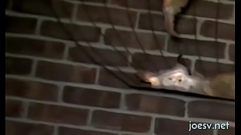 Non-professional Homo Porn At Home - anal, hardcore, blowjob, masturbation, american, gay, short-hair - Video 1647595