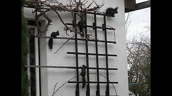 Gay-amateur, In-public - Unknown - 2025 - Incredible - Performance - Video 1648166