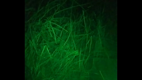 Sexy, Solo, Gay, Soloboy, Gay-porn - Gay - 2025 - Passionate - Scene - Video 1707953