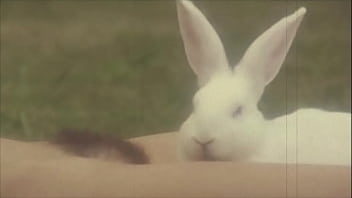 Dark Lantern Entertainment Presents - hairy, retro, animals, horse, vintage, beast, hairy-pussy, natural-tits, horses, beastial - Video 1455402