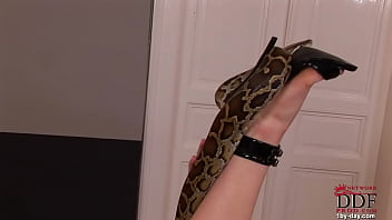 Hot-blooded Babe Playing With Snake