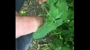 Excitation Aux Hortis