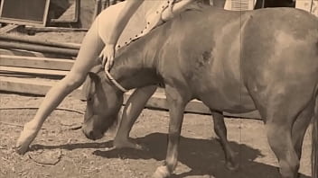 Dark Lantern Entertainment Presents Wild Women - outdoor, doggystyle, hairy, retro, vintage, beast, k9, hairy-pussy, beasts, natural-tits, equus - Video 1435345