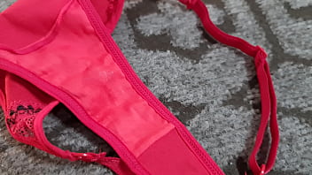 Ele Limpou O Melzinho Da Minha Buceta Peludinha Com Minha Calcinha Vermelha E Deixou Ela Toda Melada. - Inmymound