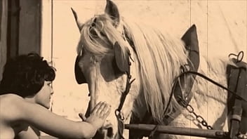 Dark Lantern Entertainment Presents - hairy, retro, animals, horse, vintage, hairy-pussy, natural-tits, horses, beastial, zoological - Video 1431241