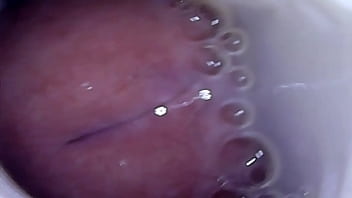 Fucking And Cuming In My New Stoya Fleshlight